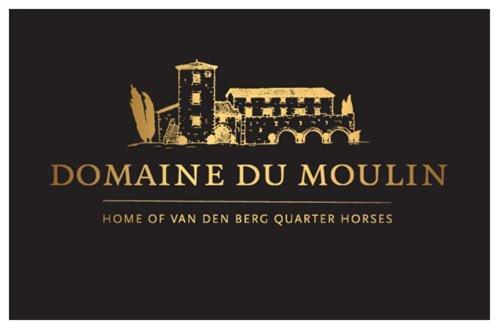 Les Hiboux Du Domaine Du Moulin Villa Etables  Dış mekan fotoğraf